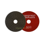 Алм. гибкий диск EHWA standart D100 №500