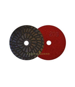 Алм. гибкий диск Яблонь D100 №200